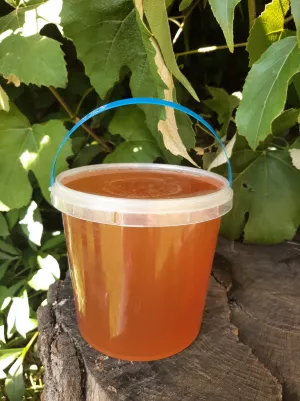 Липовий мед