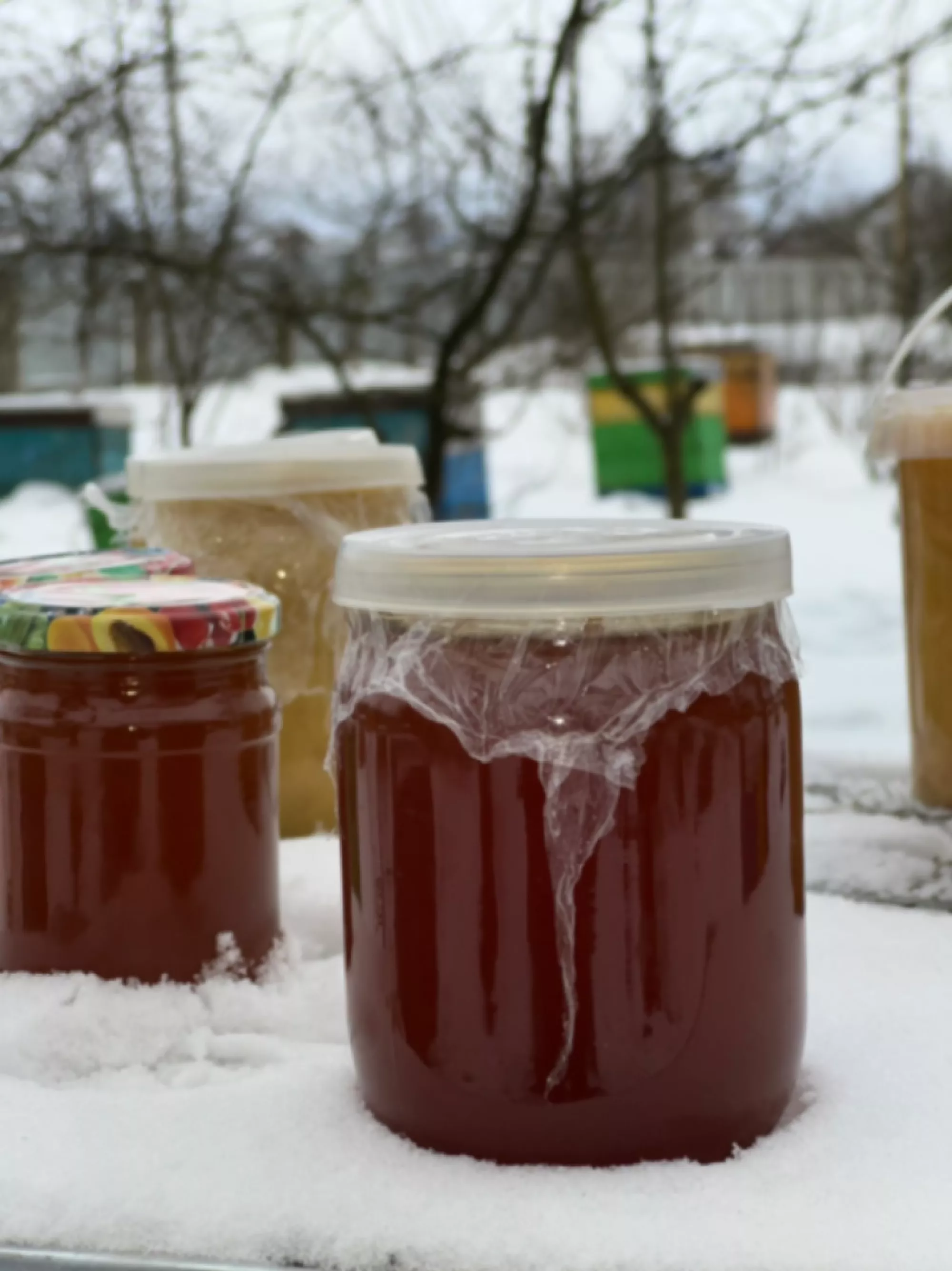 Мед різних видів