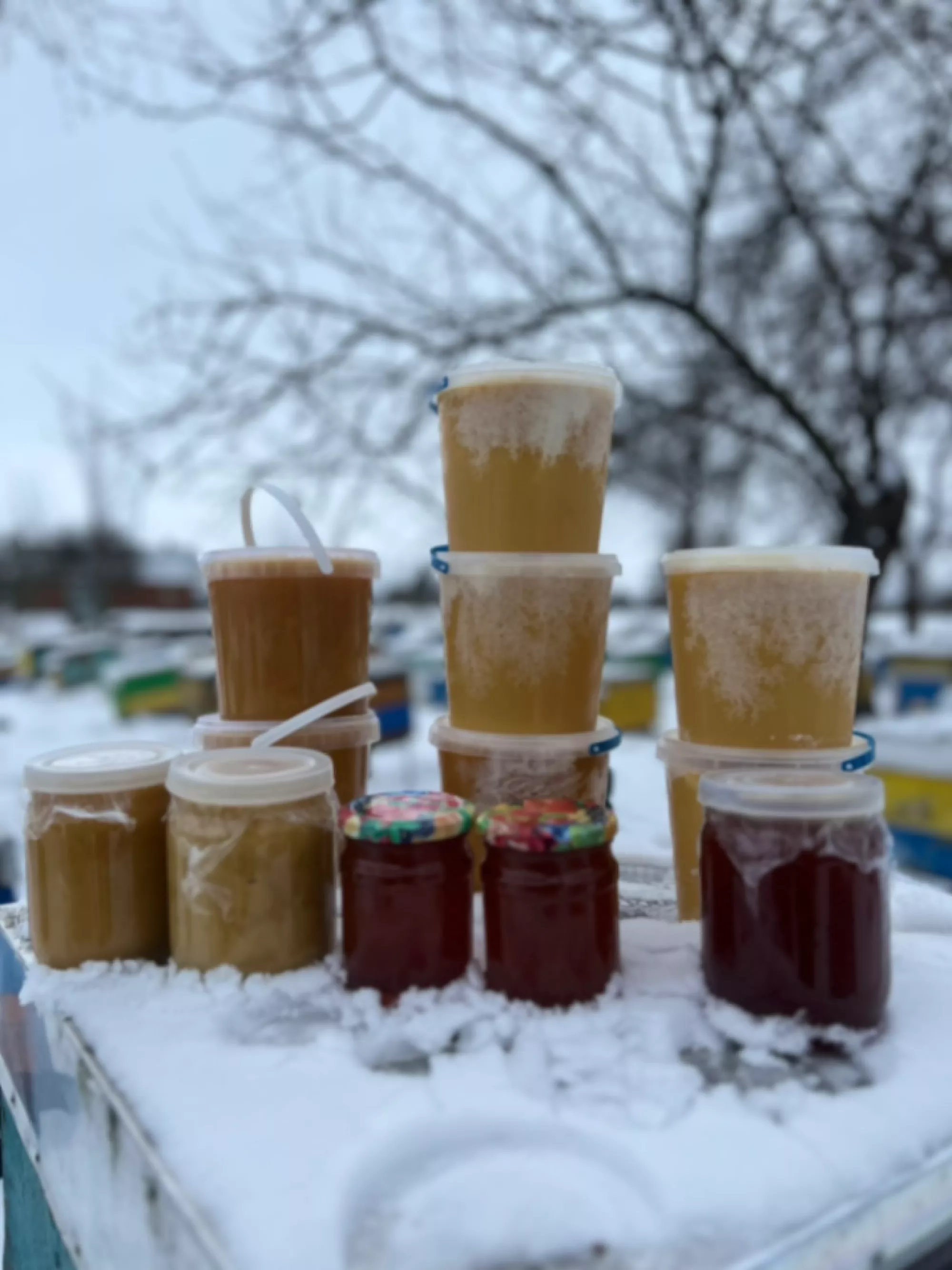 Мед різних видів