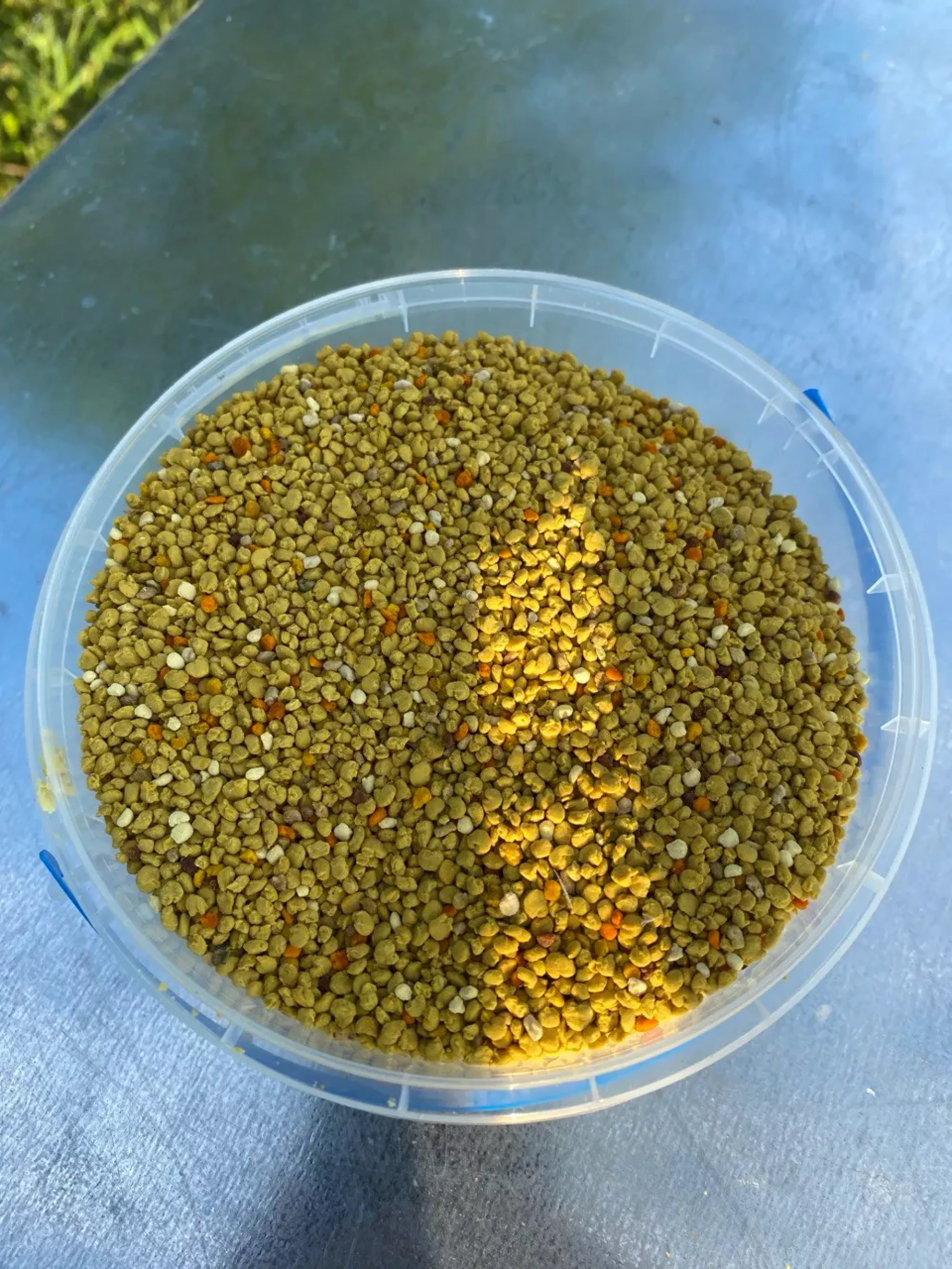 Купити Пилок Бджолиний Свіжий