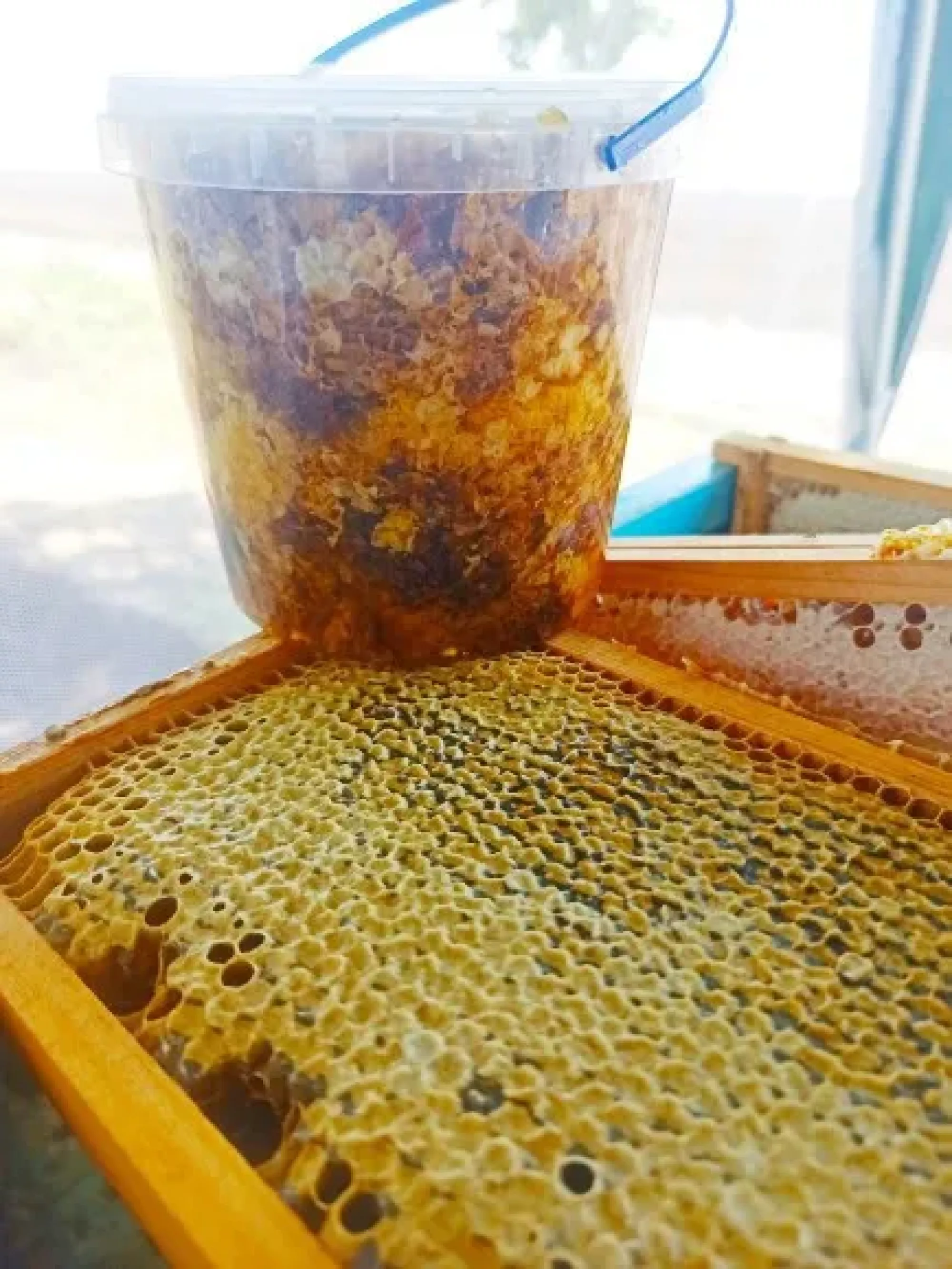 Забрус з медом різнотрав'я. Дуже смачний та корисний 0.5л