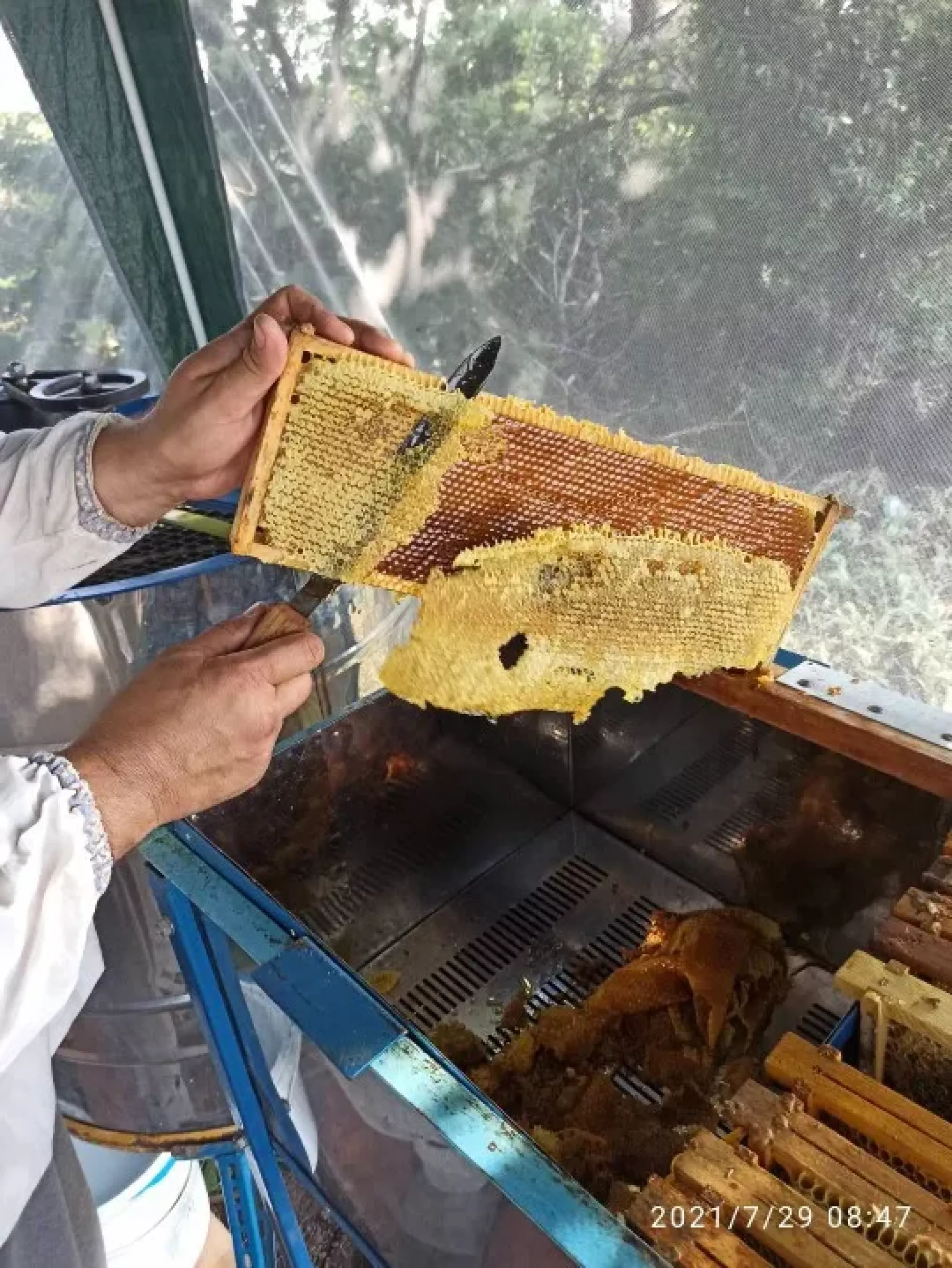 Забрус з медом різнотрав'я. Дуже смачний та корисний 0.5л