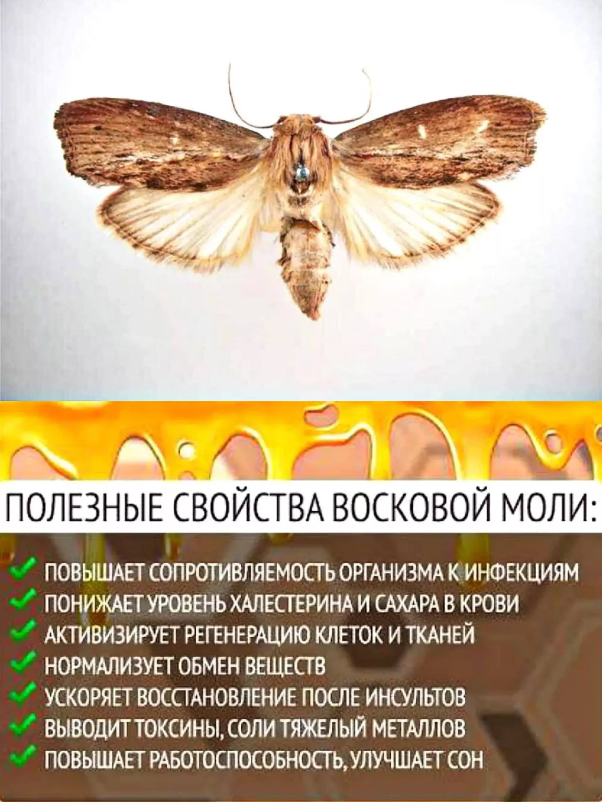 Настоянка пжвм. Набор 10шт (1л)