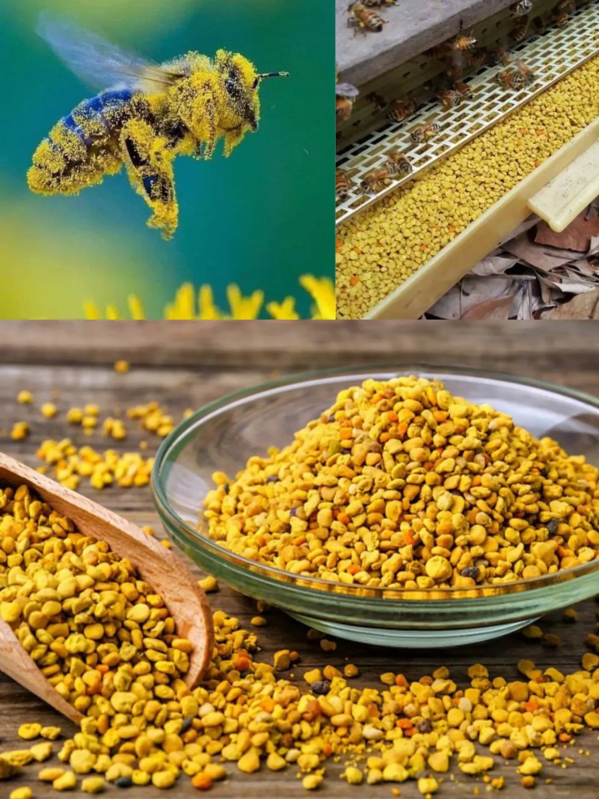 Квітковий пилок у капсулах 60шт*500мг