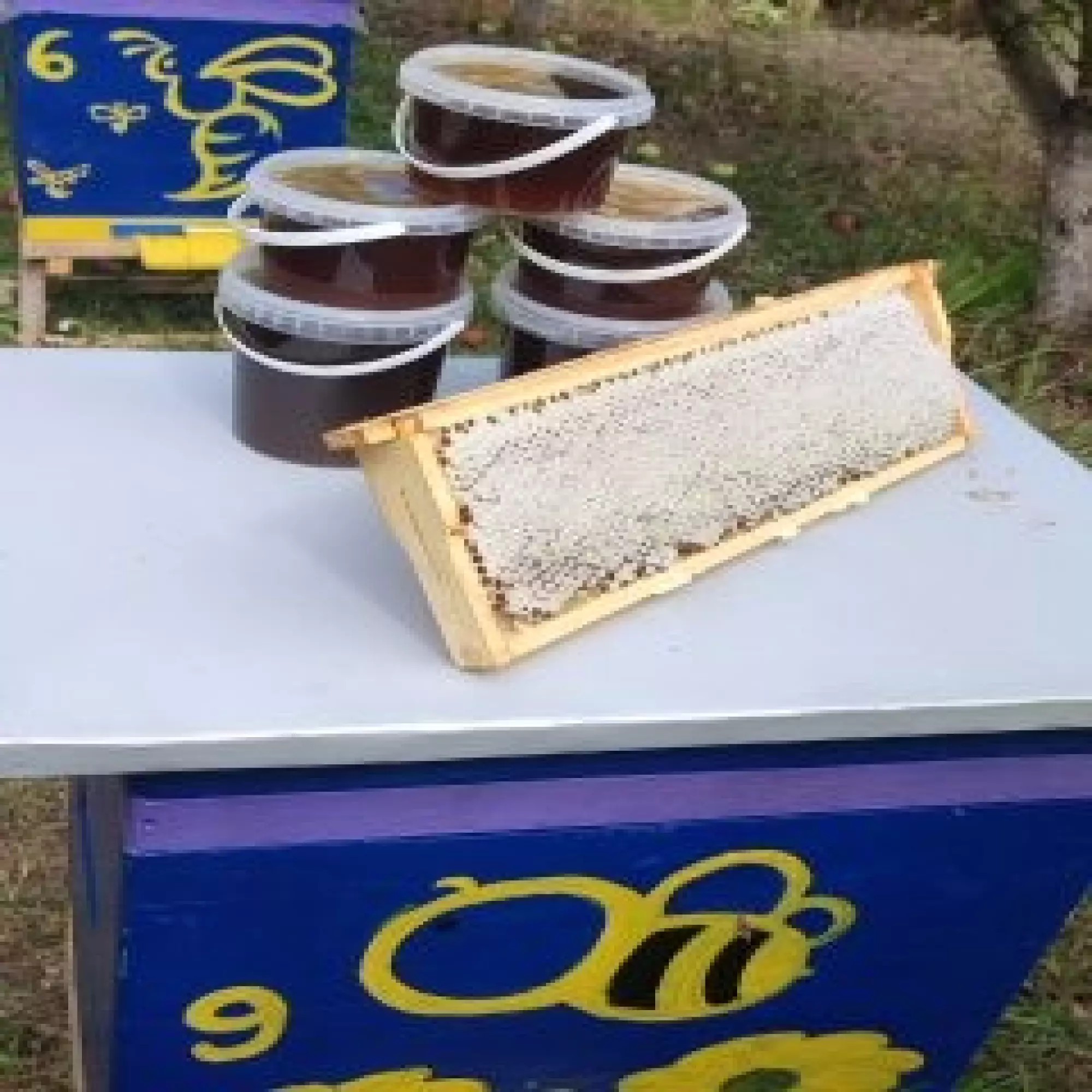 різнотряв'я гречка