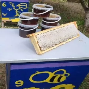 різнотряв'я гречка