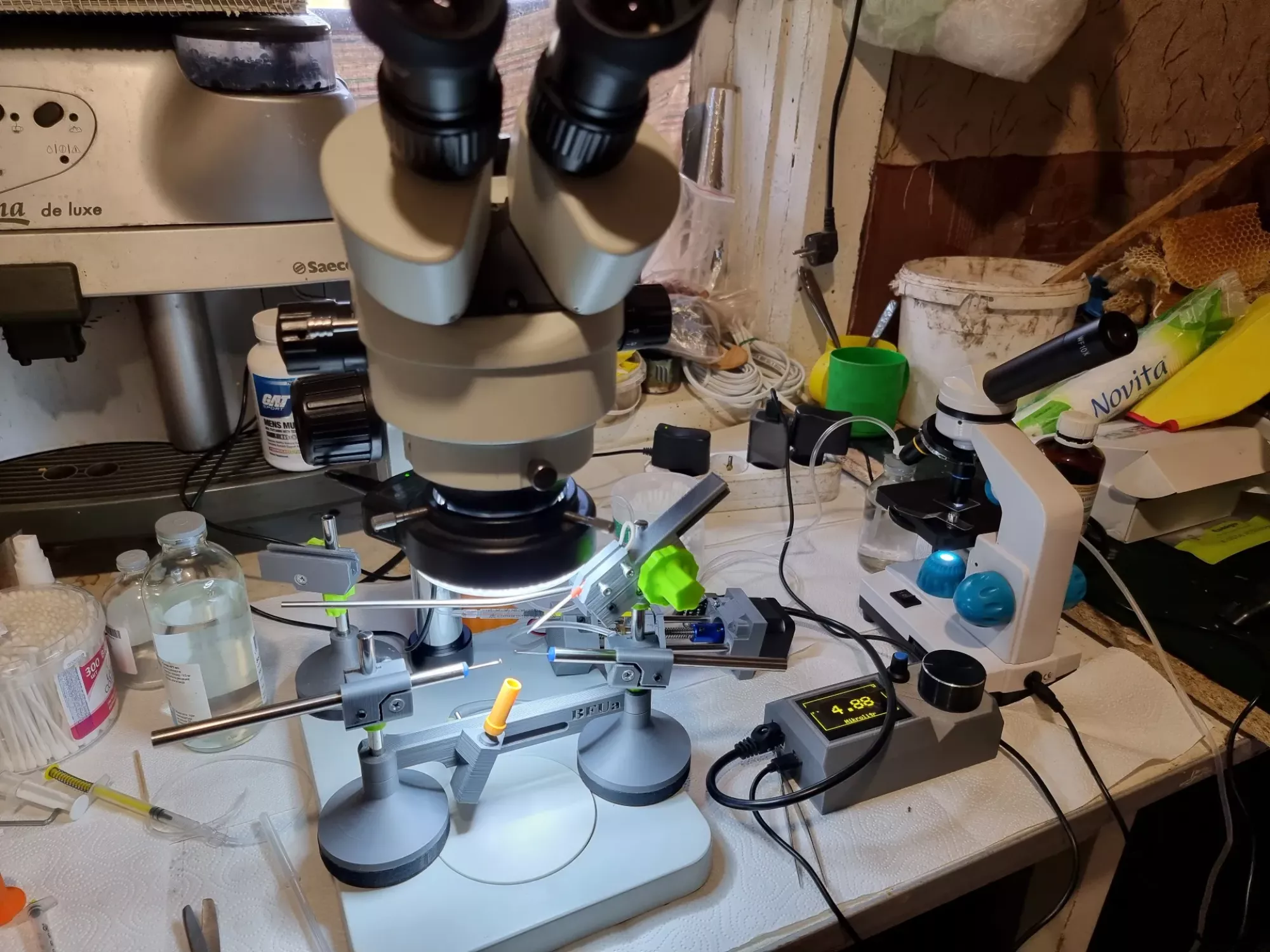 Бджоломатки бакфаст ШТУЧНОГО ЗАПЛІДНЕННЯ Ф0 !!