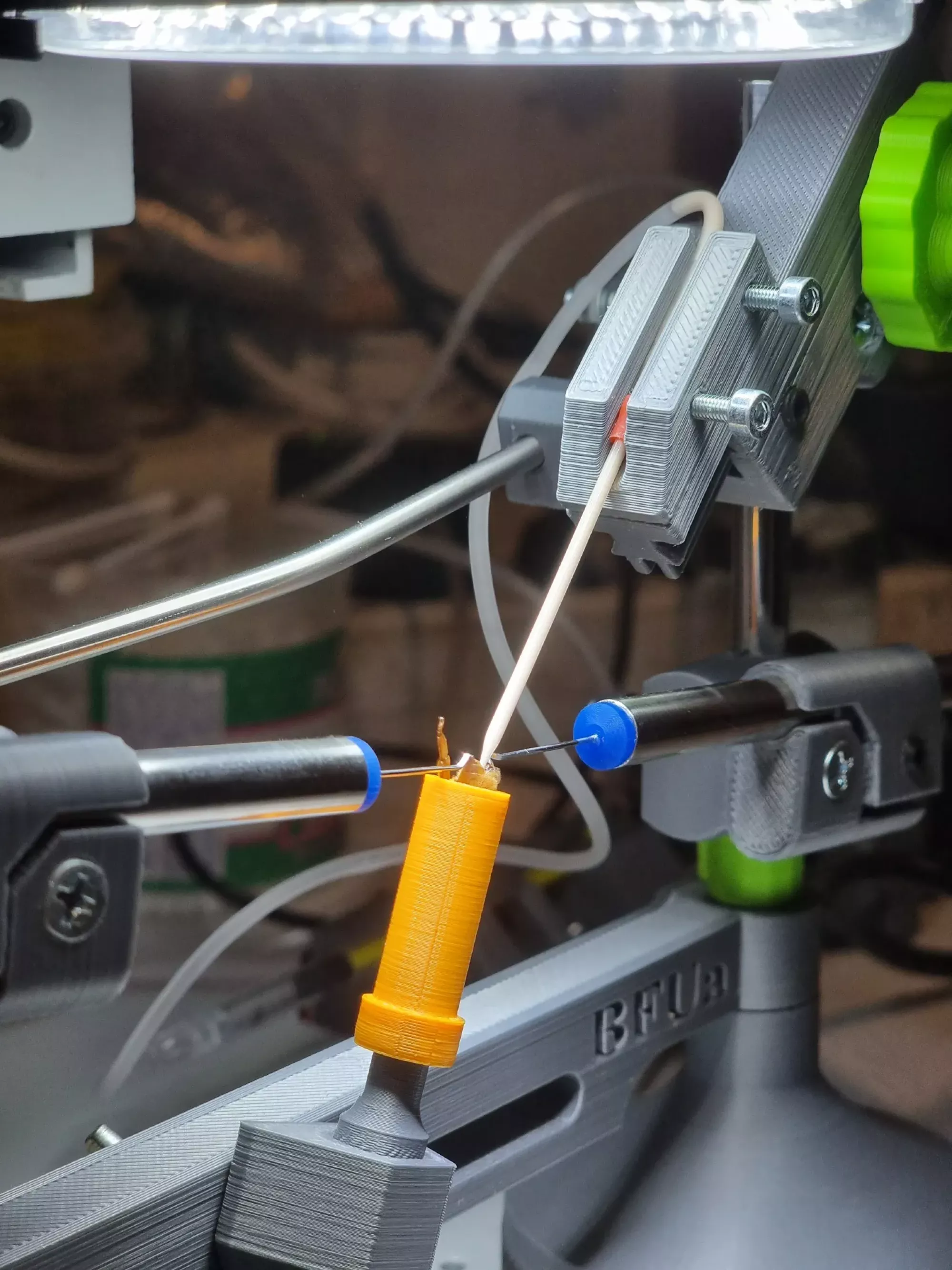 Бджоломатки бакфаст ШТУЧНОГО ЗАПЛІДНЕННЯ Ф0 !!