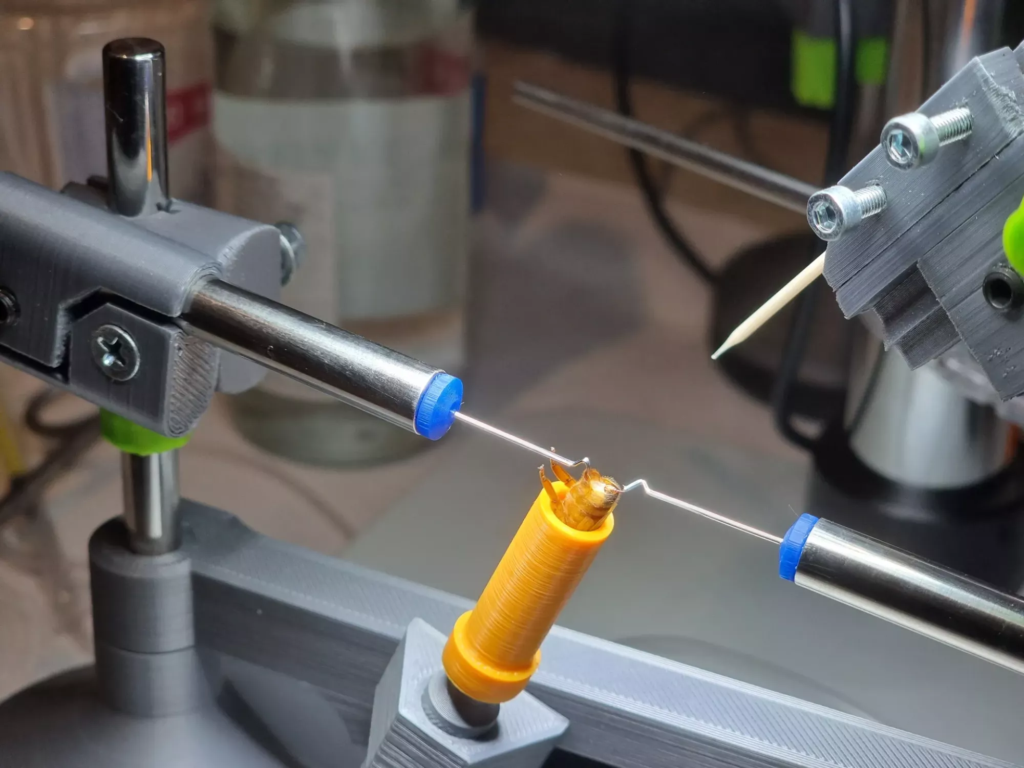 Бджоломатки бакфаст ШТУЧНОГО ЗАПЛІДНЕННЯ Ф0 !!