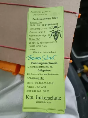 Бджоломатки F0 карніка Тройзек,Пешец ,Штрьомер ,Зінгер ,Кірхайн !