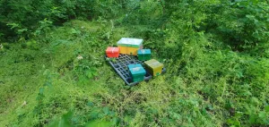 Бджоломатки Ф0 з лісового облітника