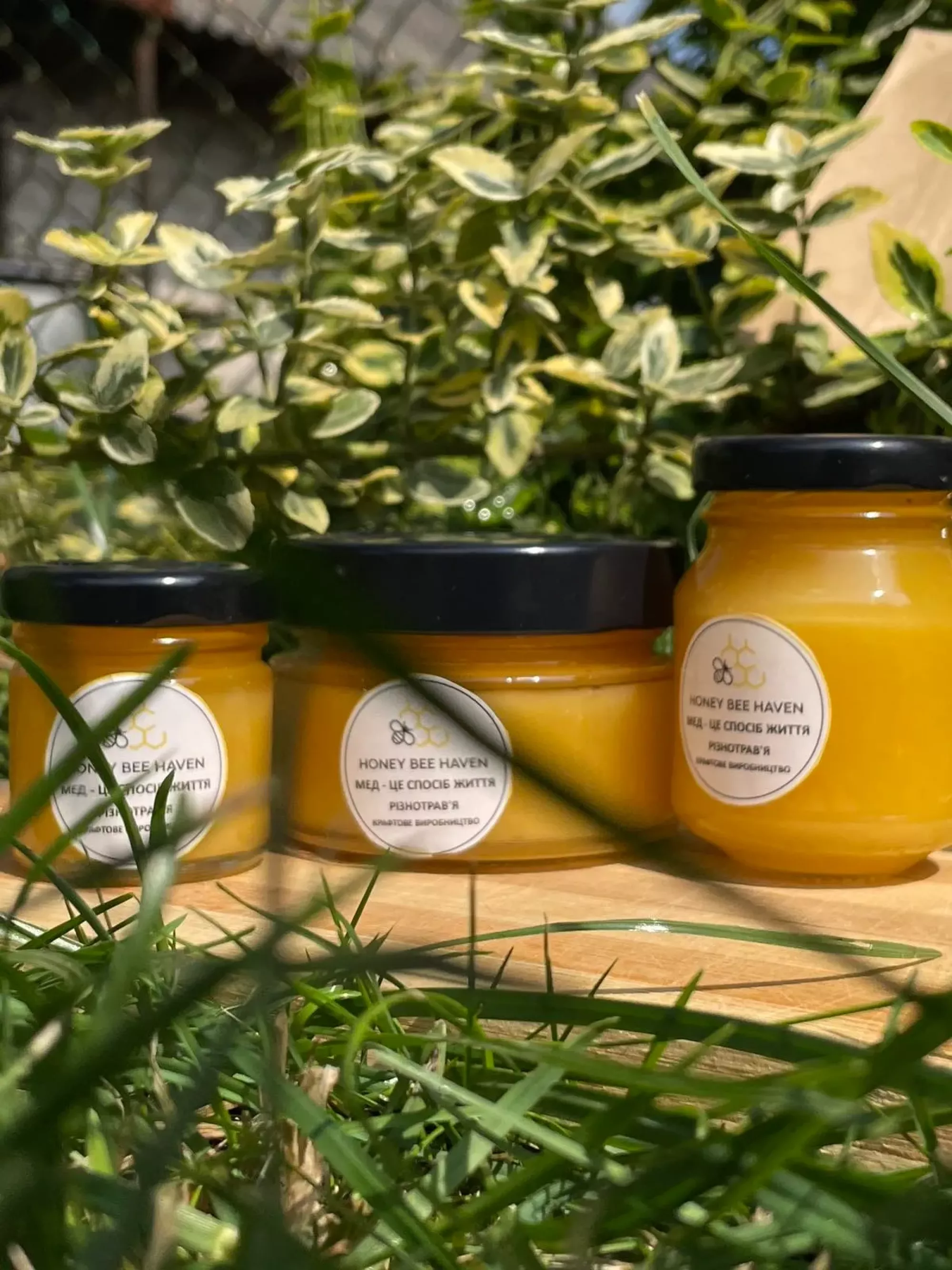 мед натуральний ТМ Honey bee haven