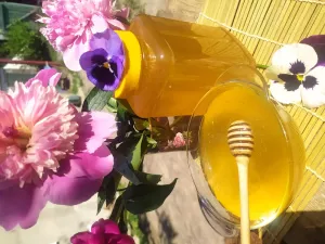 Мед натуральний ( первоцвіти та ріпак)
