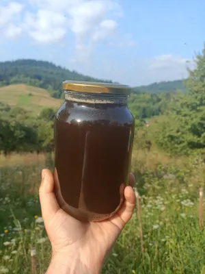Мед із лісового різнотрав'я