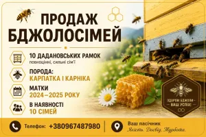 Бджолосім'я