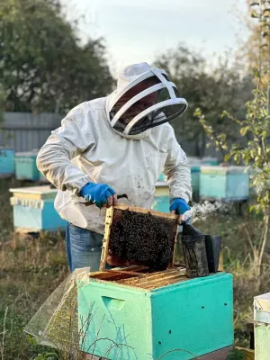 Продам бджолопакети, або бджолосім'ї